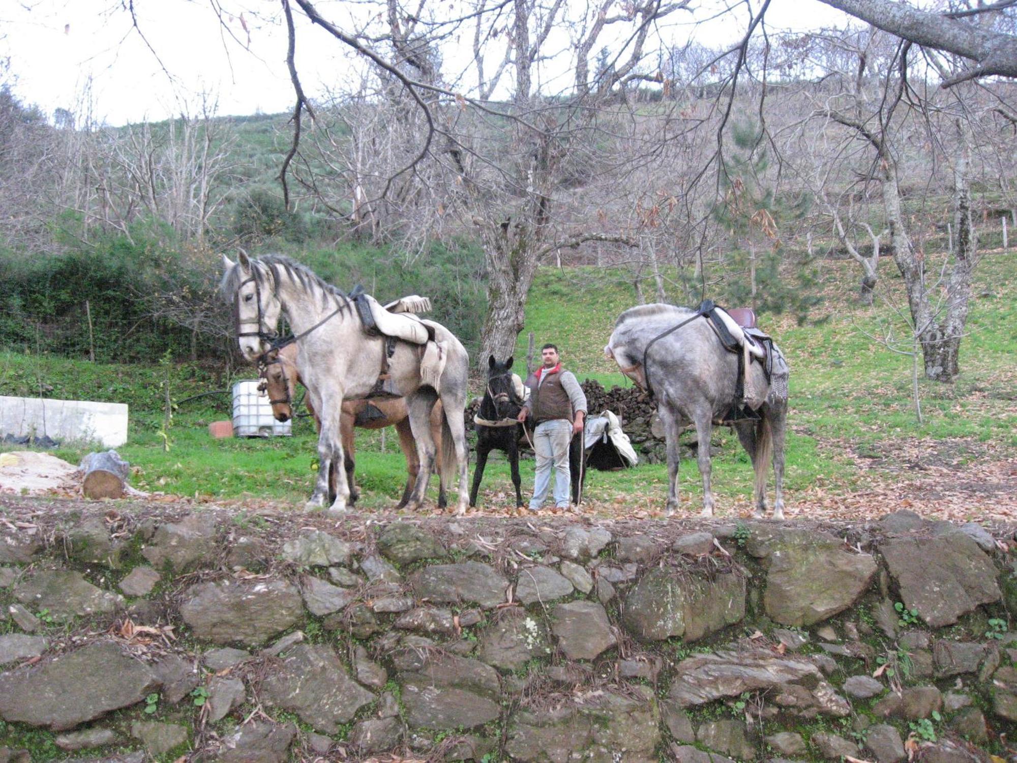 La Posada Del Recovero Genalguacil Dış mekan fotoğraf