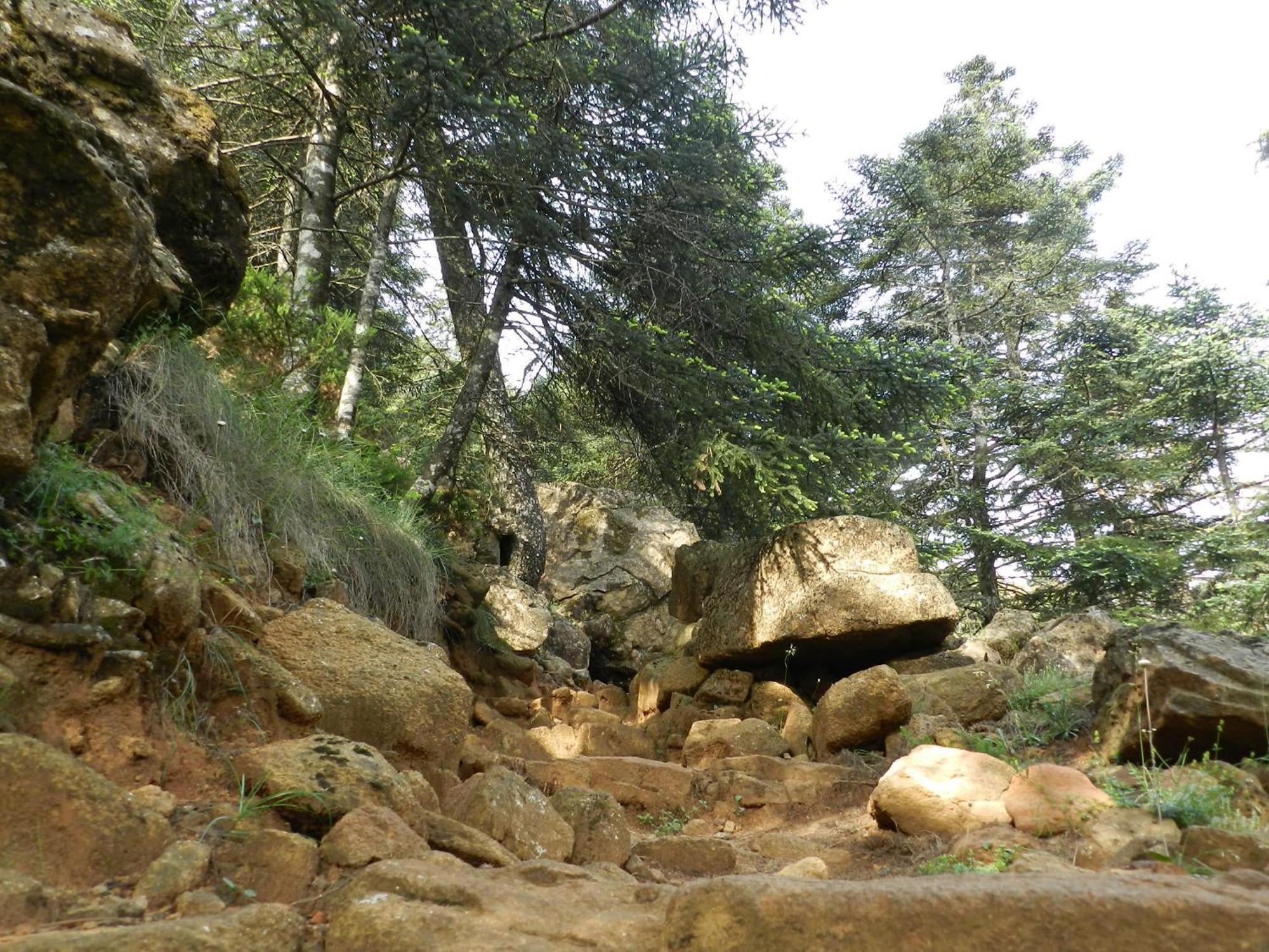La Posada Del Recovero Genalguacil Dış mekan fotoğraf