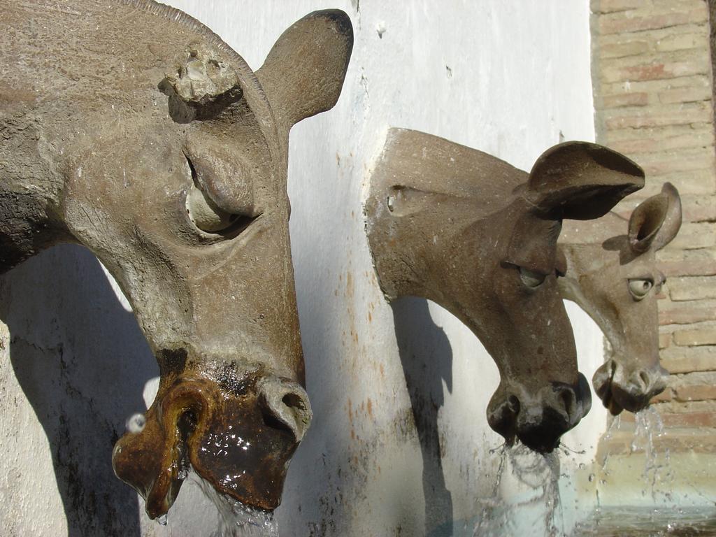 La Posada Del Recovero Genalguacil Dış mekan fotoğraf