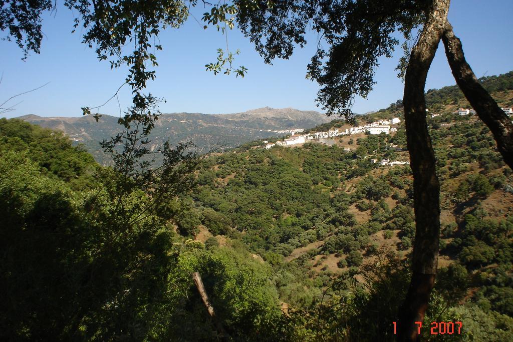 La Posada Del Recovero Genalguacil Dış mekan fotoğraf