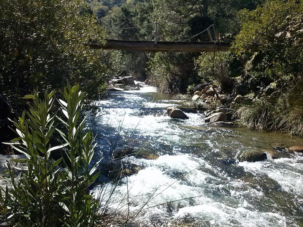 La Posada Del Recovero Genalguacil Dış mekan fotoğraf
