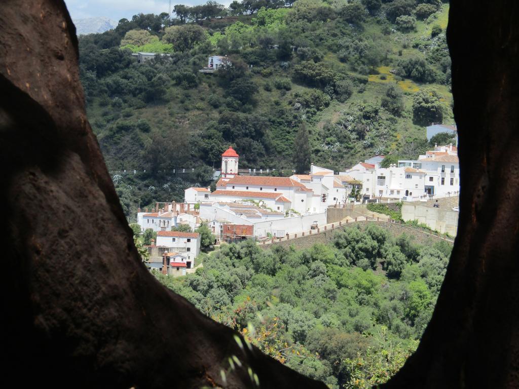 La Posada Del Recovero Genalguacil Dış mekan fotoğraf